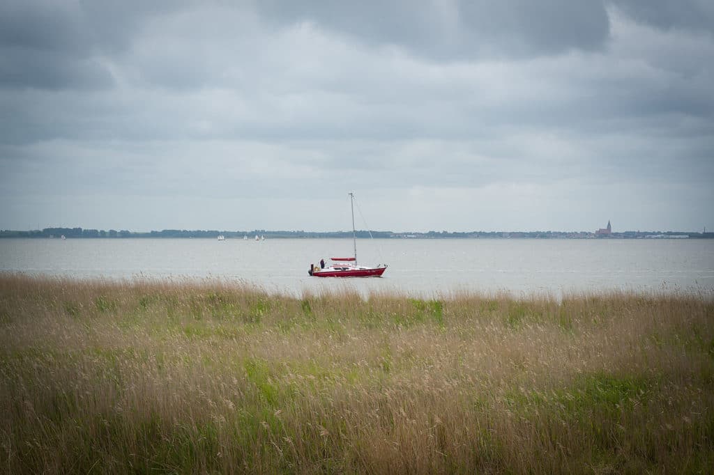 Saal mit Bodden - beliebtes Feriengebiet optimal Ferienhäuser vermieten